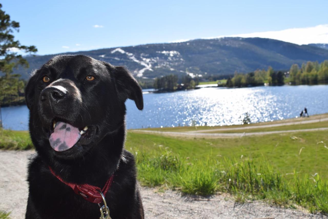 Ferienhaus Fjellblikken Villa Sinnes Exteriör bild